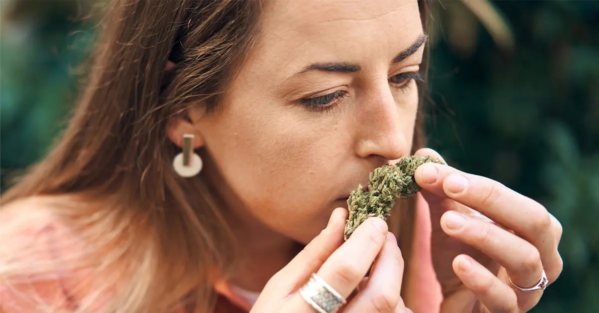 How to Get Rid Of the Smell of Weed