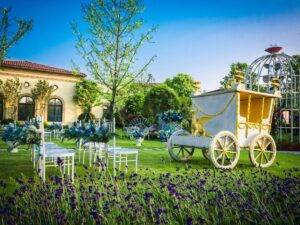 Discover the most enchanting garden wedding venues for your big day. Explore stunning locations, tips, and ideas to make your dream outdoor wedding a reality!