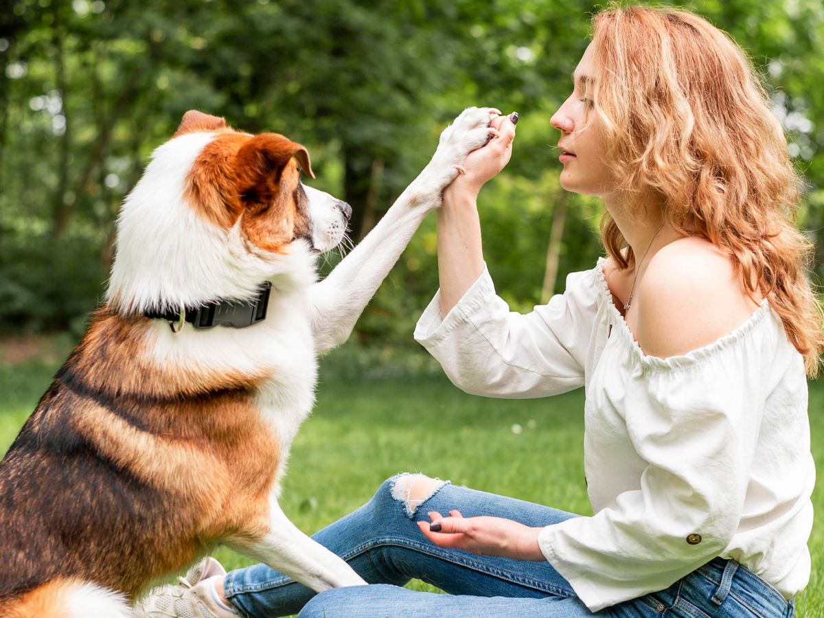 Pet Body Language: How to Understand What Your Pet Is Saying
